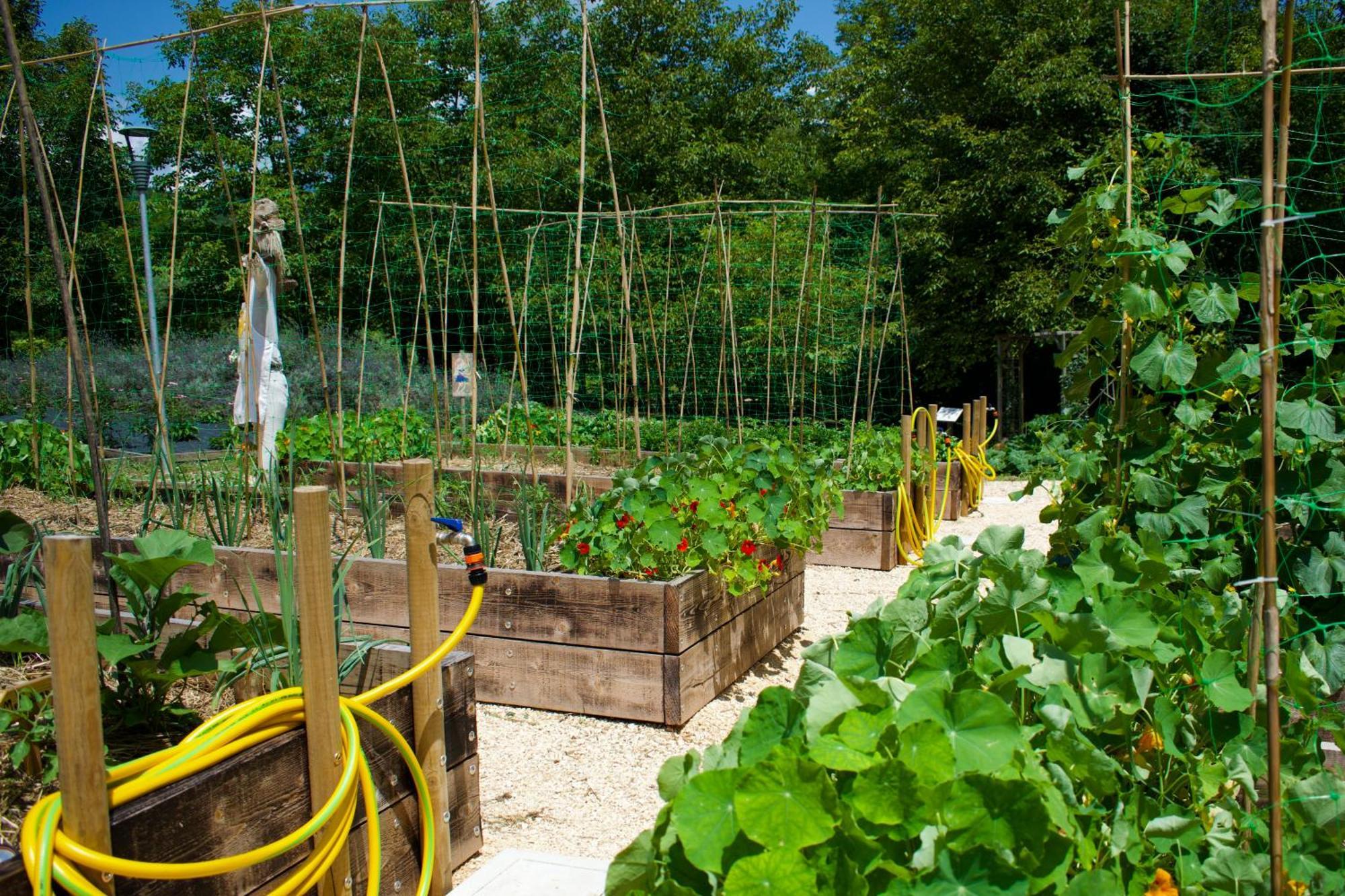 Agriturismo Monte Del Re San Pietro al Natisone Zewnętrze zdjęcie