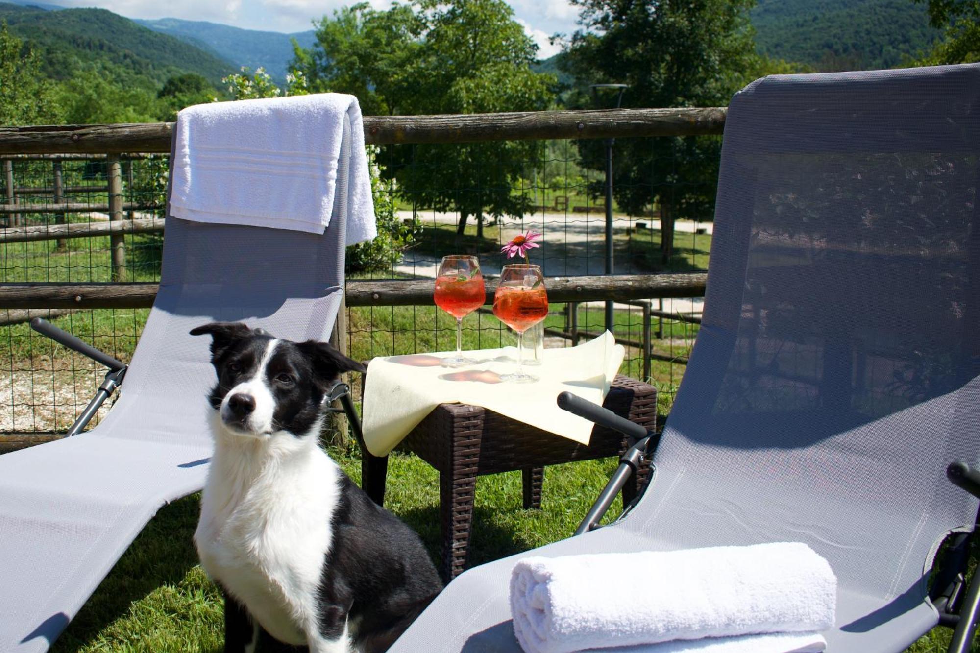 Agriturismo Monte Del Re San Pietro al Natisone Zewnętrze zdjęcie